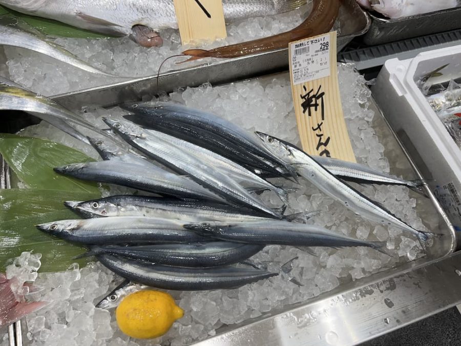 静岡県沼津港からの直送の鮮魚や干物などが揃っています。
水槽には生きた魚が泳いでいます。小さなお子さんも楽しめると思います。