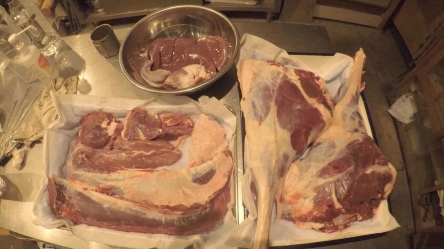 解体したお肉は熟成させることで美味しく食べることができます。
左下のバット→下から背ロース、内ロース（ヒレ）、ランプ
右のバット→モモ
上のボウル→上からレバー、ハツ、タン